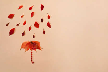 Creative flatlay of rain and umbrella made of autumn leaves and berries. Copy space.の写真素材