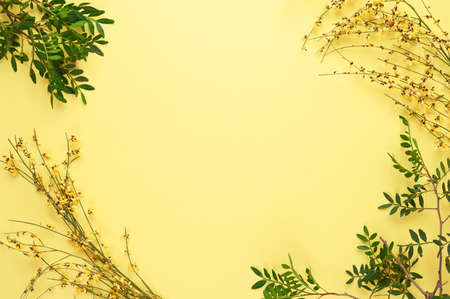 Frame of green branches and leaves on yellow background. Flat lay, top view, copy space.の写真素材