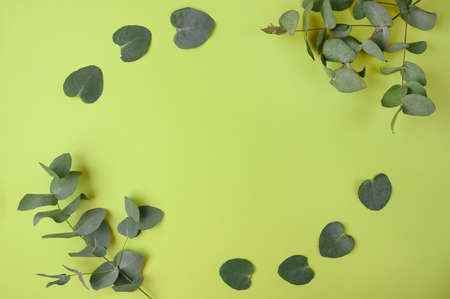 Frame of green eucalyptus leaves on green background. Flat lay, top view, copy space.の写真素材