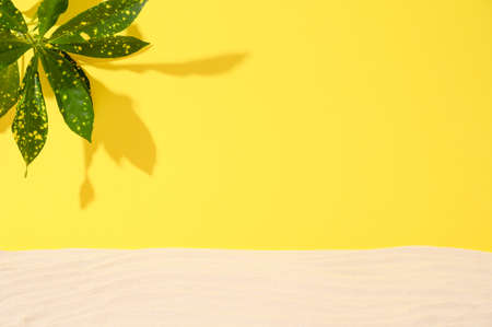 Summer tropical background with sand and shadow of tropical leaves . Yellow and beige colors. Front view. Copy space. Desigh for you product.の写真素材