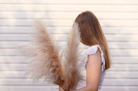 Woman holding a beautiful bouquet with pampas grass on beige background. Front view. Faceless conceptの写真素材