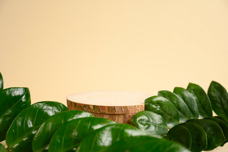 Wooden podium with green leaves for presentation your product. Front viewの写真素材