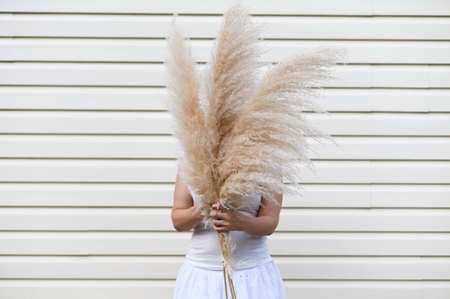 Woman holding a beautiful bouquet with pampas grass on beige background. Front view. Faceless conceptの写真素材