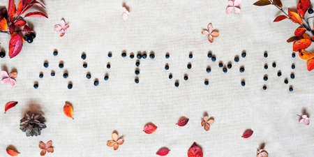 Autumn letters with berries and frame made of colorful leaves, cones on grey background. Bannerの写真素材