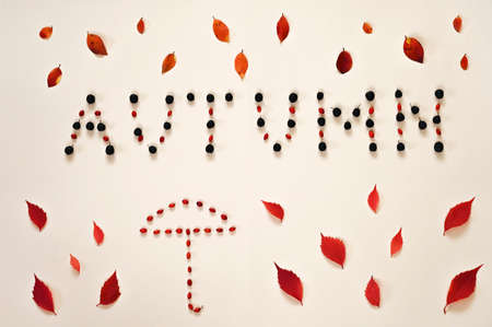 Autumn letters with berries and frame made of colorful leaves on beige background.の写真素材