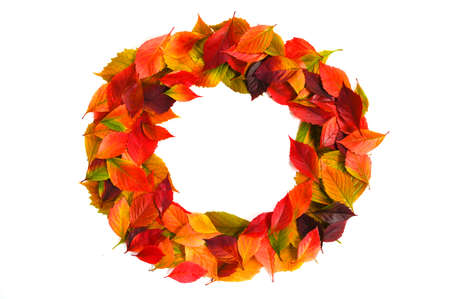 Frame made of colorful autumn leaves. Flat lay, copy space. Isolated. Empty place to the text. Thanksgiving day.の写真素材