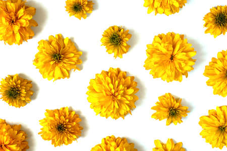 Abstract yellow flower background for your design. Natural textured. Top view. Autumn, summer concept. Patternの写真素材