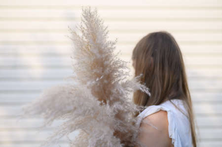 Woman holding a beautiful bouquet with pampas grass on beige background. Front view. Faceless conceptの写真素材