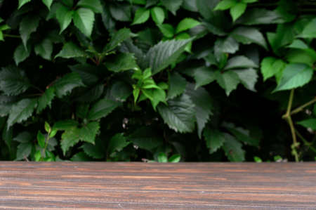 Wooden table and background with green leaves . Brown podium for product presentation. Ecology concept. 3d renderingの写真素材