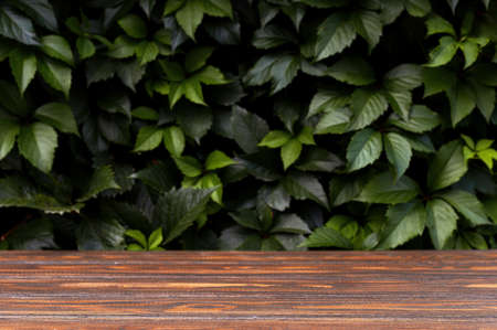 Wooden table and background with green leaves . Brown podium for product presentation. Ecology concept. 3d renderingの写真素材