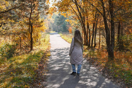 A young woman walking in the autumn park. Hello october. Beautiful trees with dried colourful leavesの写真素材