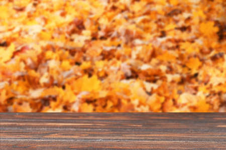 Wooden podium and autumn background empty space for presentation your productの写真素材