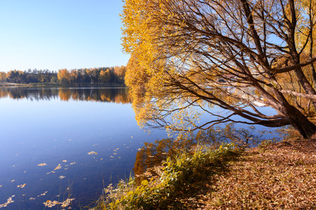 Autumn landscape with lake and trees. A beautiful season with colorful leaves.の写真素材