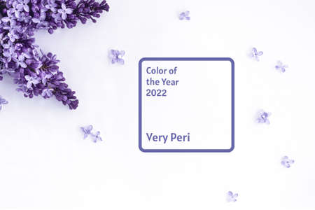 Frame with lilac flowers on white background. Top view. Trendy color of the year 2022. Very periの写真素材