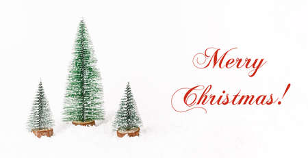 Miniature christmas trees on background with white snow. New year concept. Copy space, front view. Bannerの写真素材