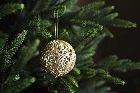 Shiny Christmas gold ball hanging on fir branches with dark backgroundの写真素材