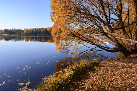 Autumn landscape with lake and trees. A beautiful season with colorful leavesの写真素材