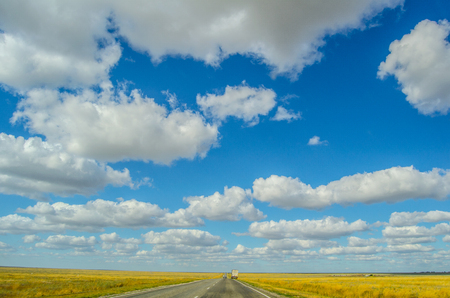 wheat field and the road in the prairies of Kalmykiyaの写真素材