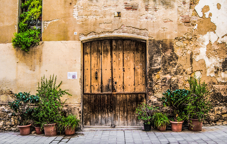 wooden door with stone wall and green bushesの写真素材