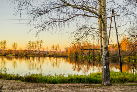 autumn natural landscae with lake birch trees at the sunsetの写真素材