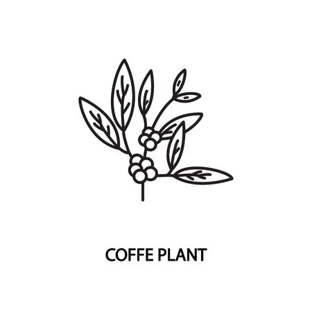 Coffee plant line vector icon. Concept for online store or web banners and printed materials. Editable strokes.のイラスト素材