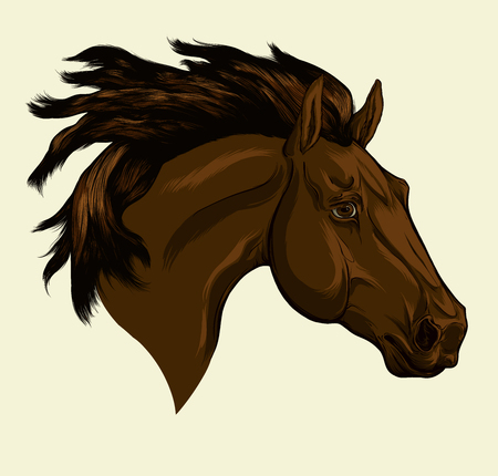 Painted portrait of Friesian horse with a long mane. Head of dark horse. Vector isolated on a beige background.のイラスト素材