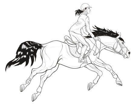 Performance at show jumping competitions. Woman dressed in jacket and breeches rides a horse. Stallion gallops with legs stretched out. Linear black and white vector clip art for equestrian clubs.のイラスト素材