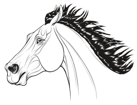 Long Mane Royalty Free Stock Illustrations And Vectors Stocklib Long Mane Royalty Free Stock Illustrations And Vectors Stocklib