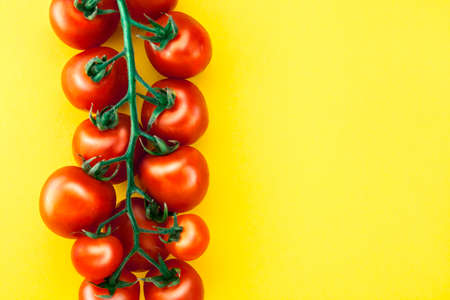 Branch of cherry tomatoes, red, isolated on a yellow background, close-up, with space for text, without nobody, horizontal imageの写真素材