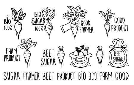 Hand sketched badges and labels of sugar beets. Black and white roots with hand lettering isolated on white background. Vector illustration.のイラスト素材