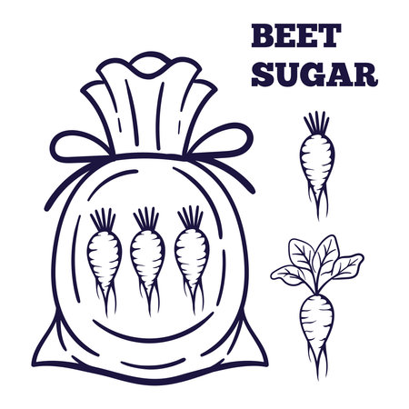 Vector illustration of white sugar beet in a bag isolated on a white background. White beets illustrationのイラスト素材