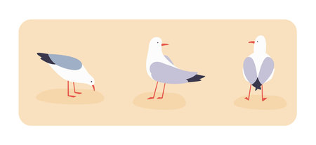 Gulls in different poses cartoon vector illustration.のイラスト素材