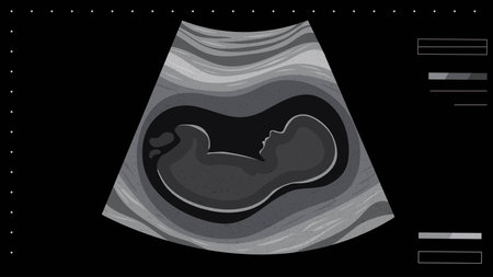 Ultrasound scan of baby vector illustration. Cartoon pregnancy screening. Ultrasound picture of fetusのイラスト素材