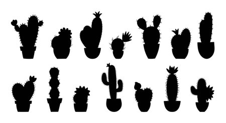 Cactus silhouette. Black silhouette cacti home plants. Succulents in pots isolated on white backgroundのイラスト素材