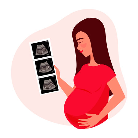 Beautiful young woman with pregnant belly. Pregnant woman with long hair holding photo of baby in her hands. Happy pretty woman looking pictures of embryo. Cartoon vector illustration.のイラスト素材