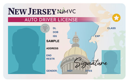 New Jersey drivers license isolated on white background. Person driver licenseのイラスト素材