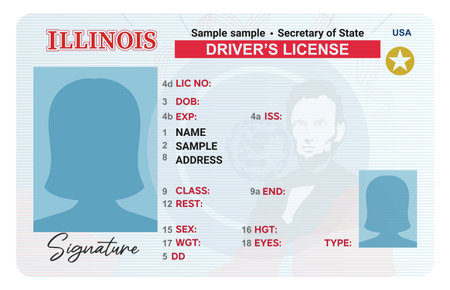 Illinois drivers license with female silhouette isolated on white background. Person driver licenseのイラスト素材