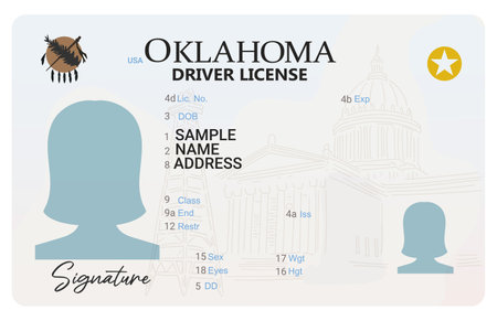 Oklahoma drivers license with female silhouette isolated on white background.のイラスト素材