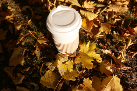 Paper cup with coffee is standing on the bench in on the autumn park with yellow backgroundの写真素材