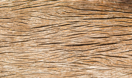 Wooden texture background. Wood is not smoothの写真素材
