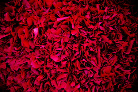 Elegant red paper background as rose petals.の写真素材