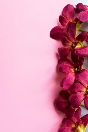 Branch of beautiful bordo orchid flowers on pink background. Floral pattern.の写真素材