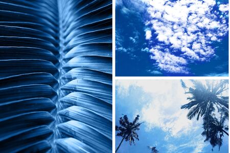 Creative collage of classic blue color.の写真素材