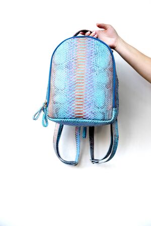 Blue python leather backpack holding in woman hand on white wall background.の写真素材