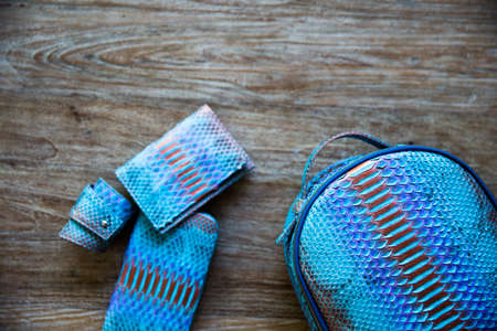Blue python leather product on wooden background.