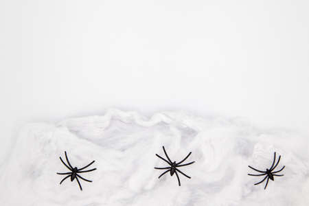 Little toys spider net for Halloween on white background