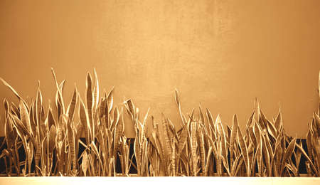 Tropical plants on golden harvest colored textured wall. Trendy toned pattern.の写真素材