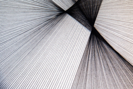 Diagonal stripes pattern. slanted lines texture. Modern abstract geometric striped background.の写真素材