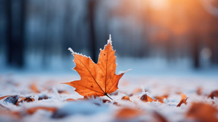 orange leaves stacked on winter background in the forestの写真素材