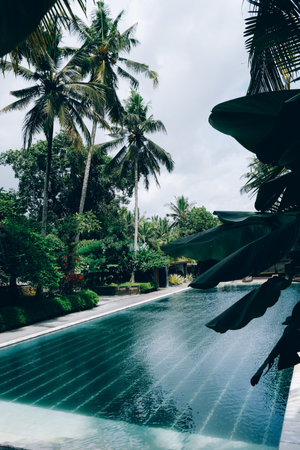 Tropical Poolside with Palm Treesの写真素材